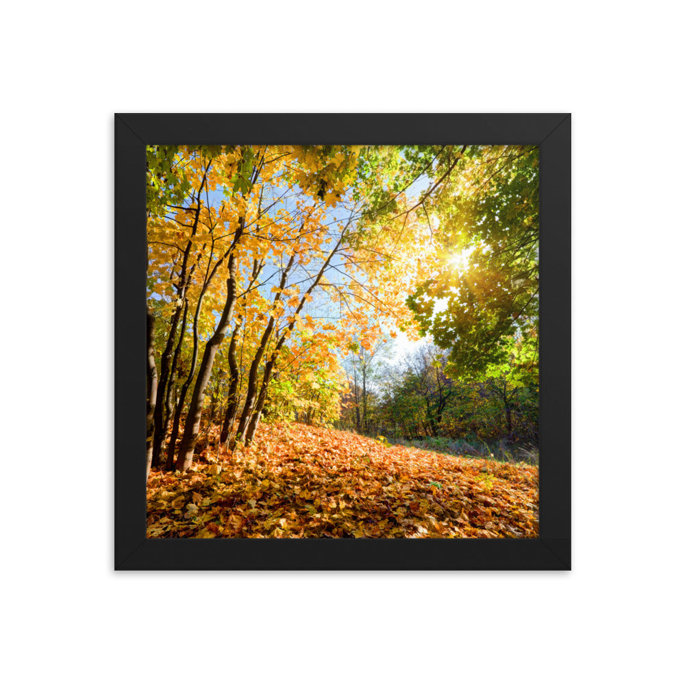 Autumn Framed poster