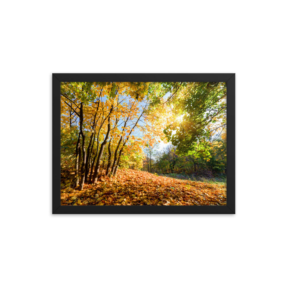 Autumn Framed poster