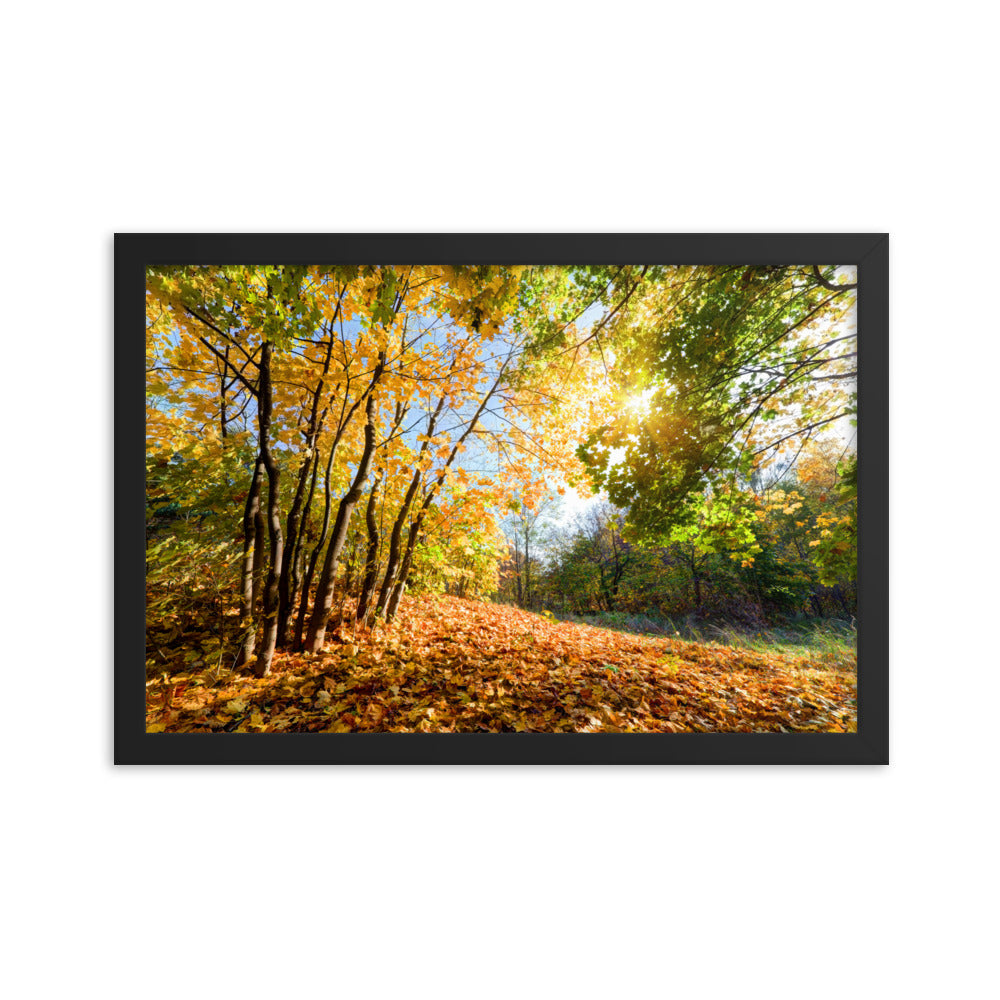 Autumn Framed poster