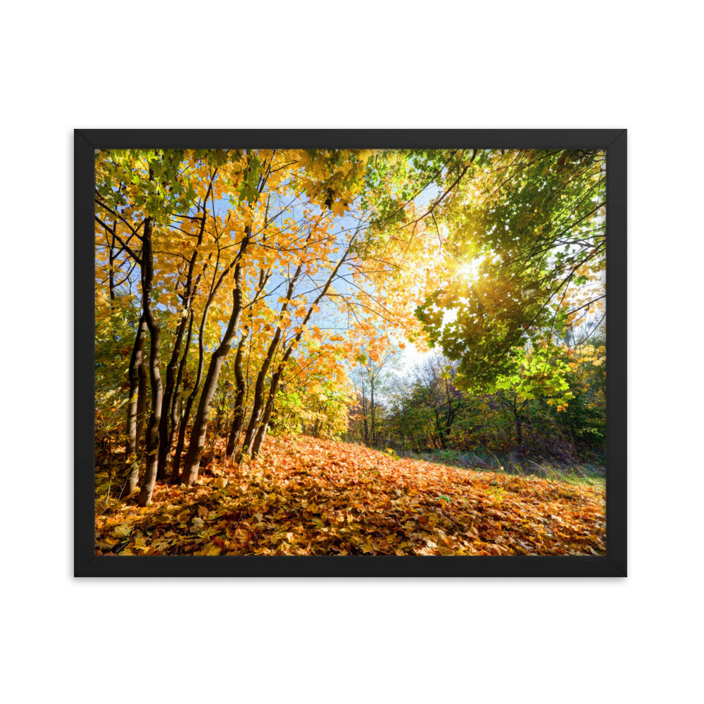 Autumn Framed poster