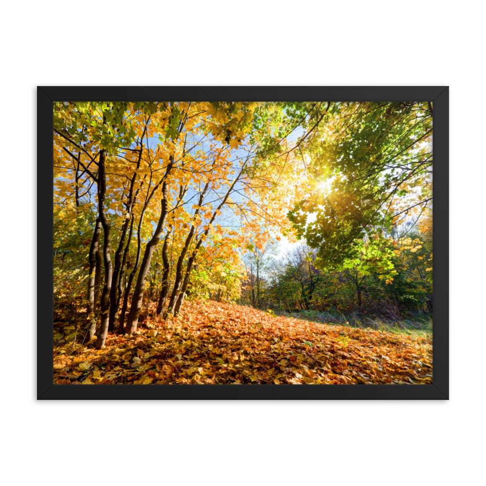 Autumn Framed poster