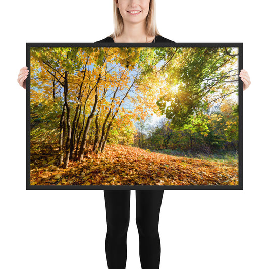 Autumn Framed poster