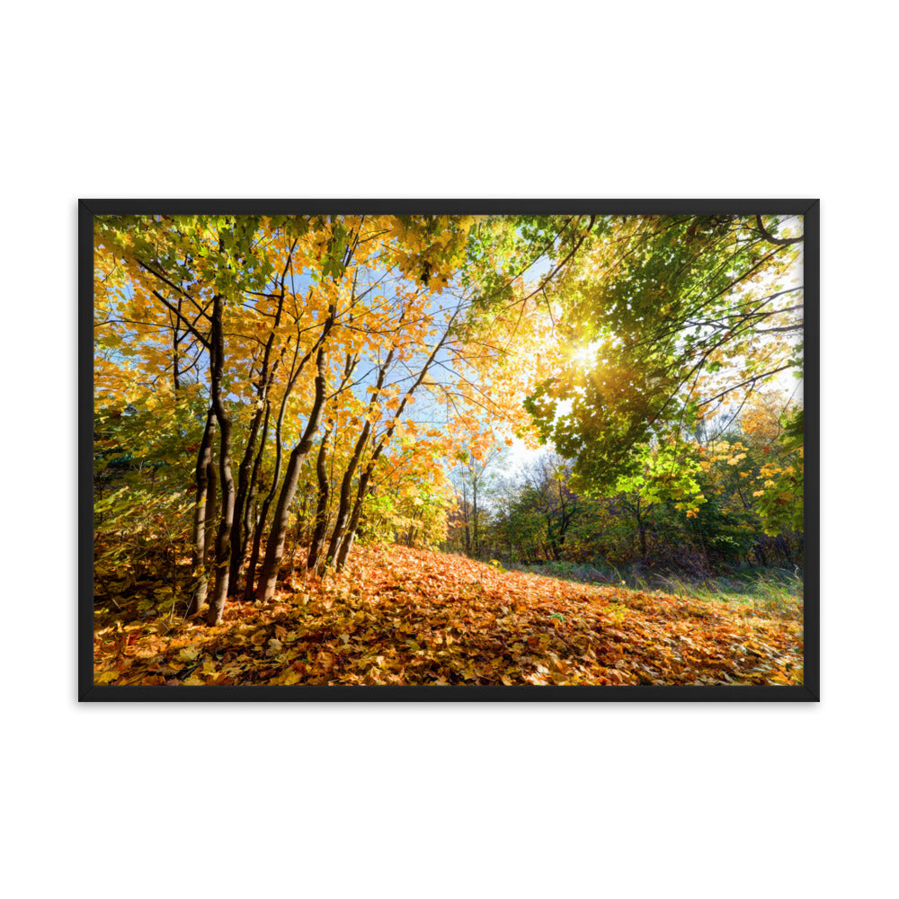 Autumn Framed poster