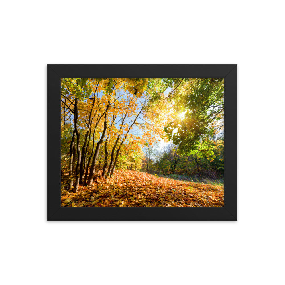 Autumn Framed poster